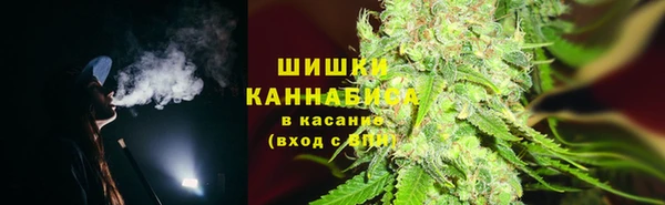 PSILOCYBIN Бронницы