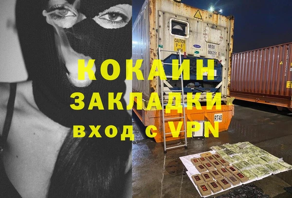 PSILOCYBIN Бронницы