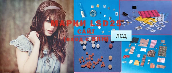 PSILOCYBIN Бронницы