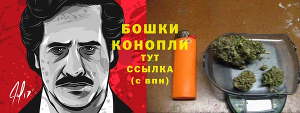 PSILOCYBIN Бронницы